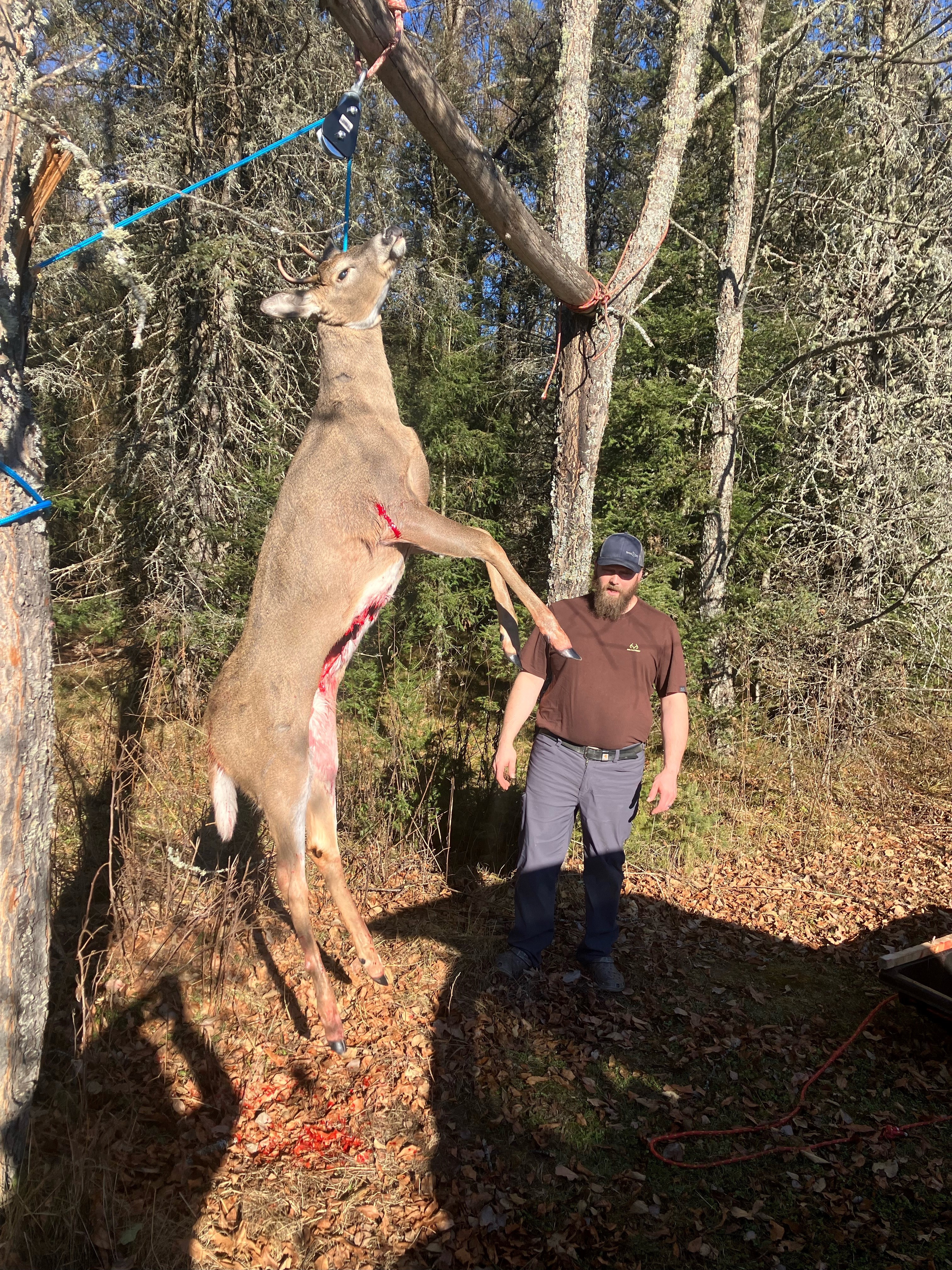 Jason Przybylski Buck