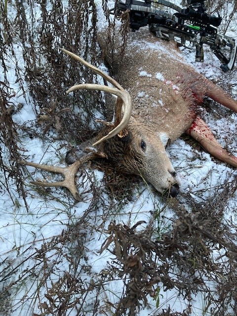 Scott McAllister Buck