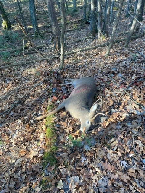 Tony Culver Buck