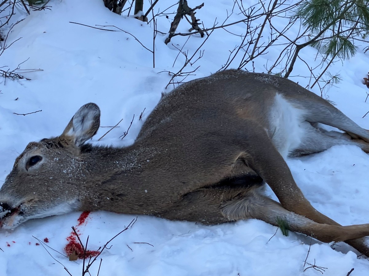 Kirk Altergott Antlerless&nbsp;Buck