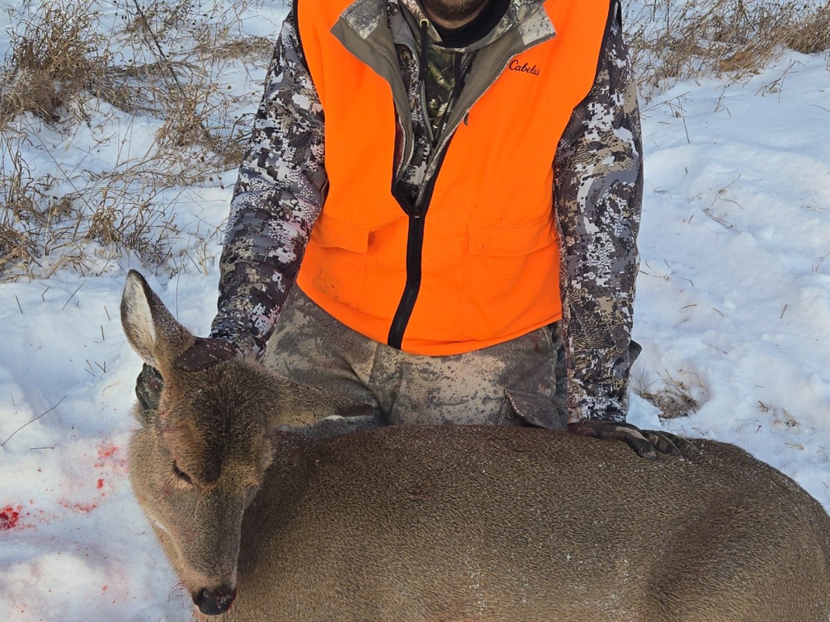 Brandon Blochowiak Gun&nbsp;Doe